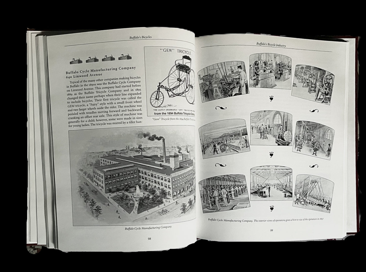 Buffalo's Bicycles by Carl F. Burgwardt